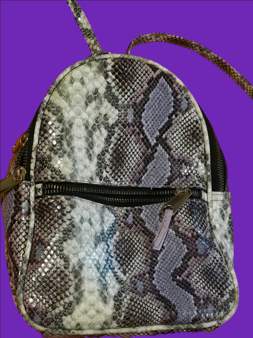 4/$67 Deal! Icing Snake-Print Mini Backpack in Purple & Gray